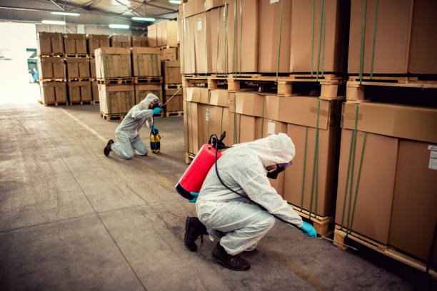 Best Local Pest Control Services  in Santa Ana Pueblo, NM