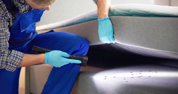 Best Affordable Pest Control Services  in Santa Ana Pueblo, NM