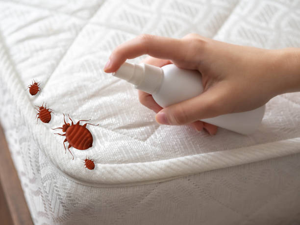 Professional Pest Control in Santa Ana Pueblo, NM